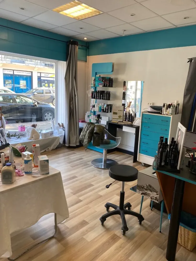 salon (1)
